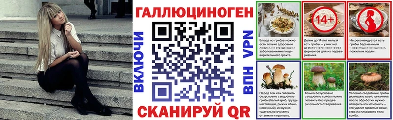 Псилоцибиновые грибы Psilocybe  купить наркотики сайты  Каменка 